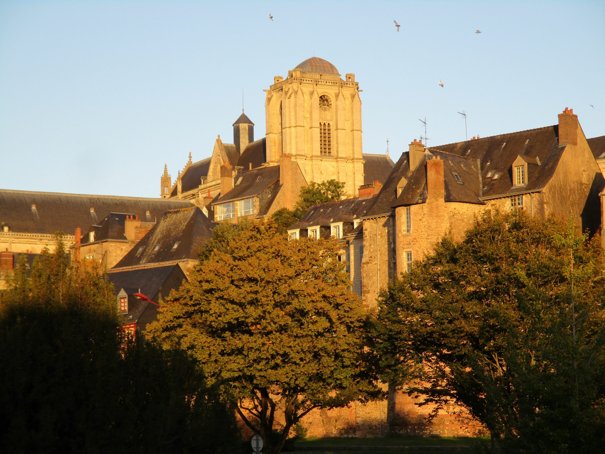 Vue Cathédrale Le Mans